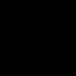 Meet your Posher, Logan